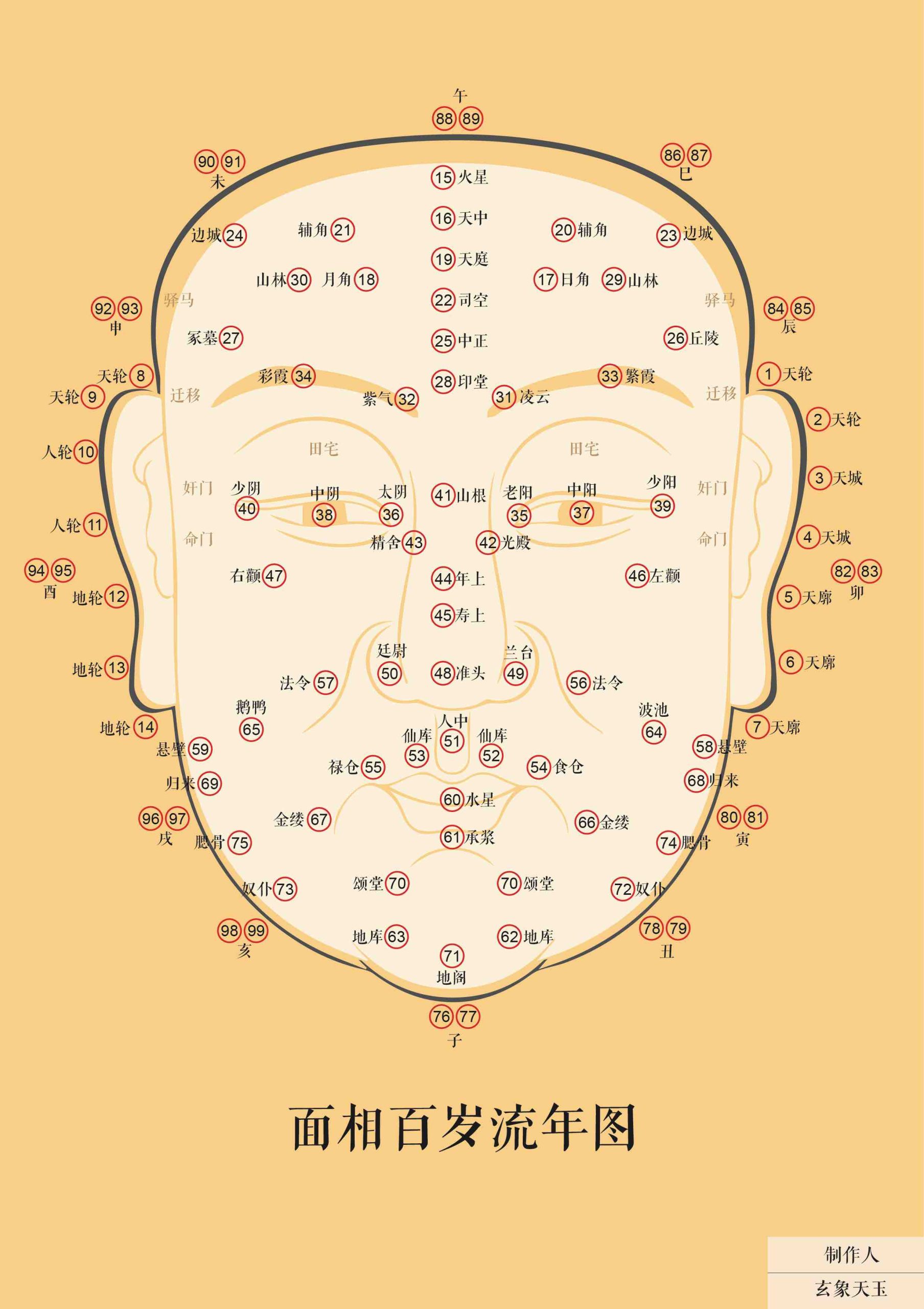 面相百岁流年图-森罗万象-天玉宫