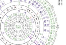 郑氏星案-引-天玉宫