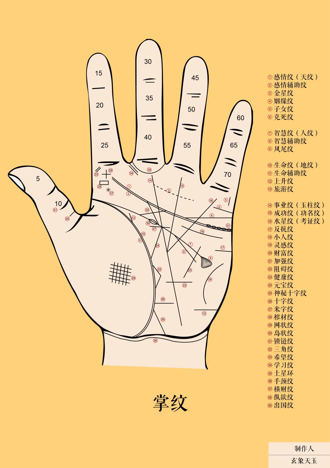 掌纹图-森罗万象-天玉宫